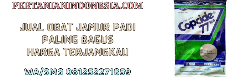 jual,murah,terjangkau,toko pertanian terdekat,pertanian indonesia